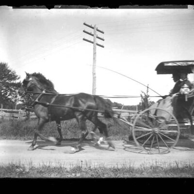 Horse & Surrey (Location unknown)