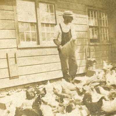 Claude Potts "Here Chick"