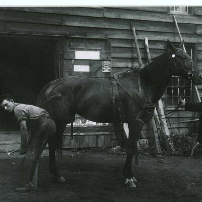 Blacksmith Shop