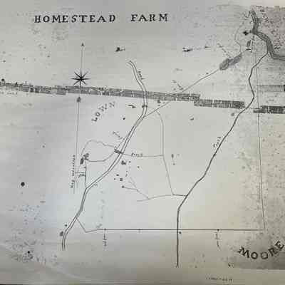 1848 Survey of 'Homestead Farm' on Yantz Road