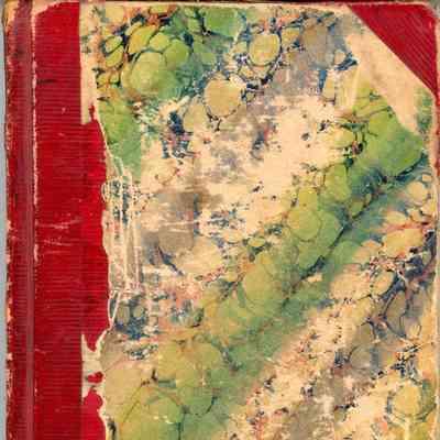 Louisa Mead's journal