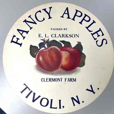 Apple Barrel Head Graphic