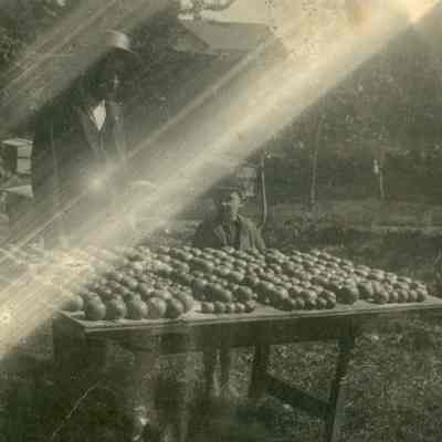 Apple Display