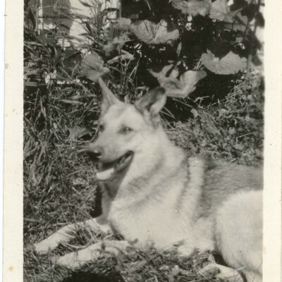 Unidentified Photograph