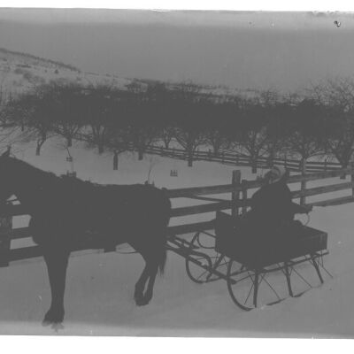 Buck + Ann Horse + Wagon