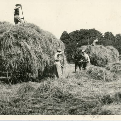 Haying 1920