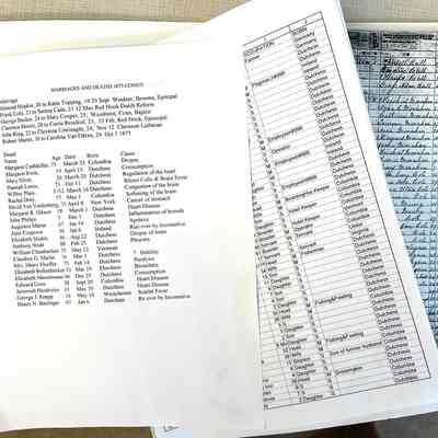 1875 State Census and indices