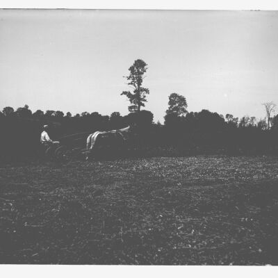 Horse-drawn Mower