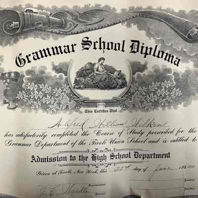 Tivoli Grammar School Diploma, Alfred Wilken, 1920