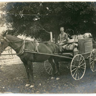 Man in Horse-Drawn Carriage