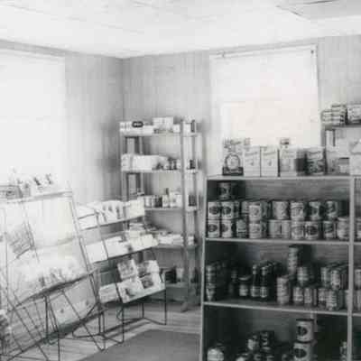 Navins Store, Barrytown