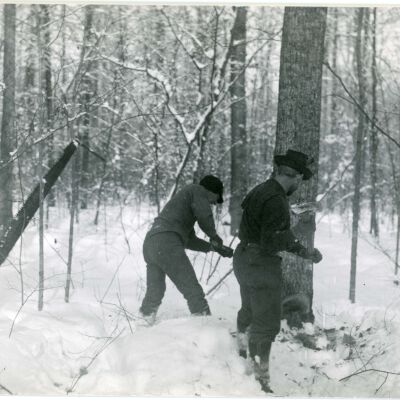 Cutting Wood