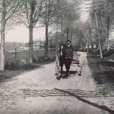 Elmer Teator on horse-drawn buggy on Upper Red Hook's Post Road, 1904