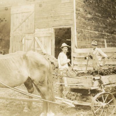 Horse and Wagon