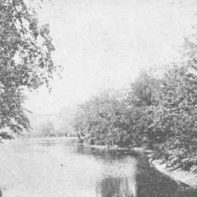 Mill Pond, Madalin N.Y.