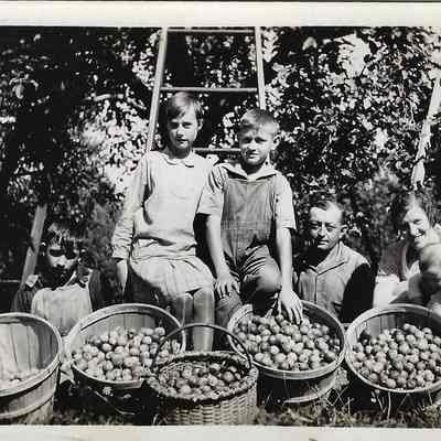 Family apple harvest scene Walter Vogel Farm
