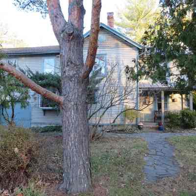 8 Wildey Road