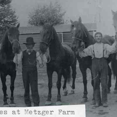 Three Men at Metzger Farm