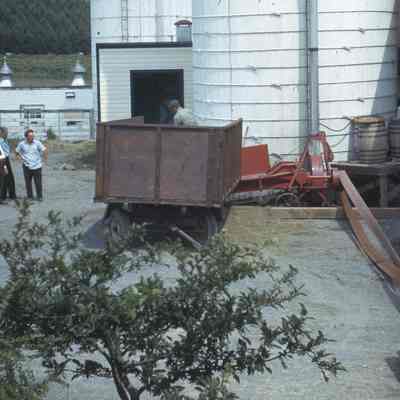 Blowing Grass Silage