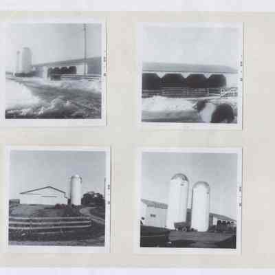 New barn complex, Linden Farm, 1965