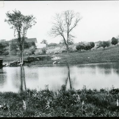 View of Teator farm across pond.