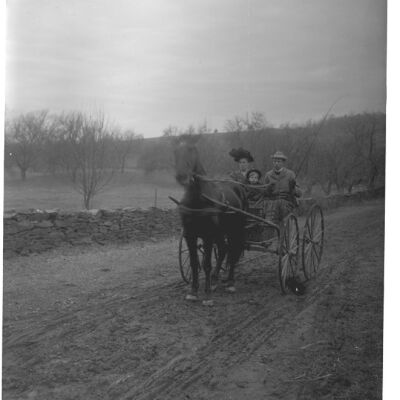 Man, woman and child in a horse-drawn buggy