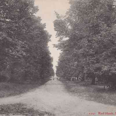View of Linden Avenue looking north, Red Hook, N.Y., c 1915