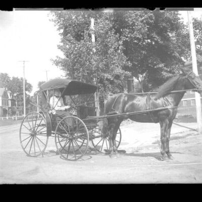 Horse and buggy with passenger (Location unknown)