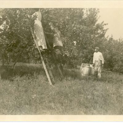 Losee's Farm