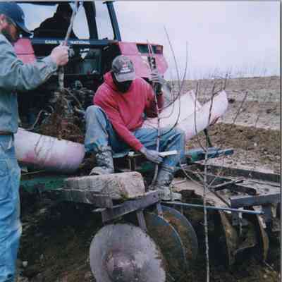 Planting trees at Mead Orchards Farm