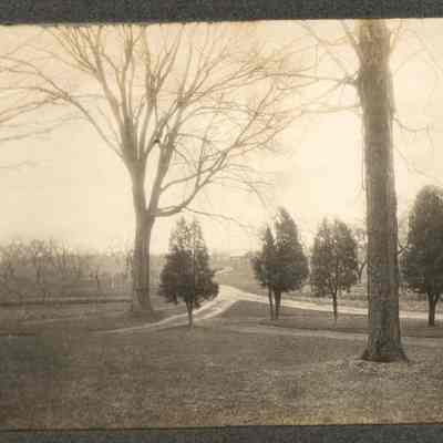View of Mead farm looking toward orchards