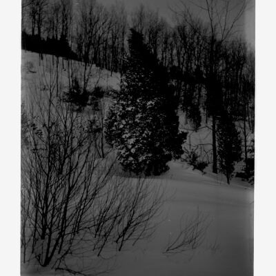 Winter hillside
