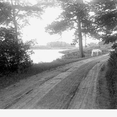 Spring Lake with horse