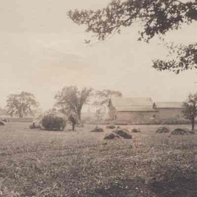 Field with trees and barn in background