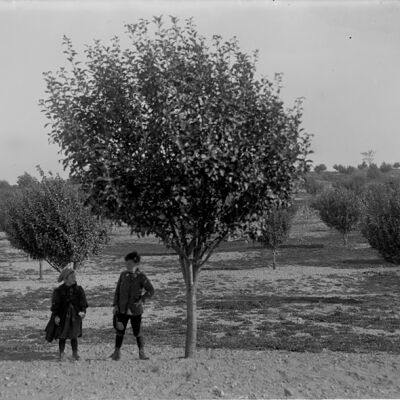 Roscoe & Marion Teator in orchard