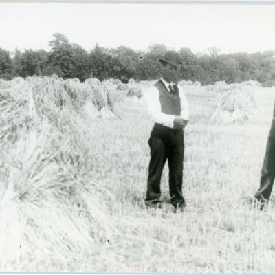 Henry Elting and another standing in rye field, 1905
