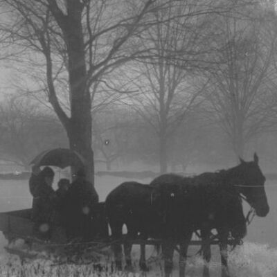 Horse-drawn snowsled