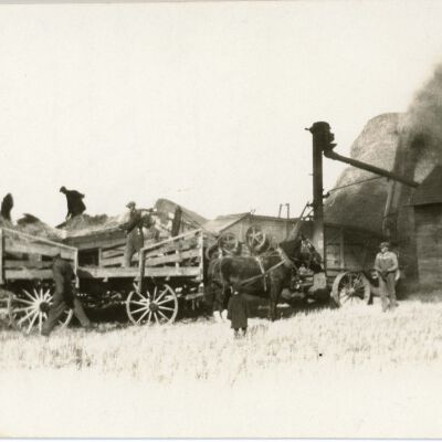 Pitching grain into separator.