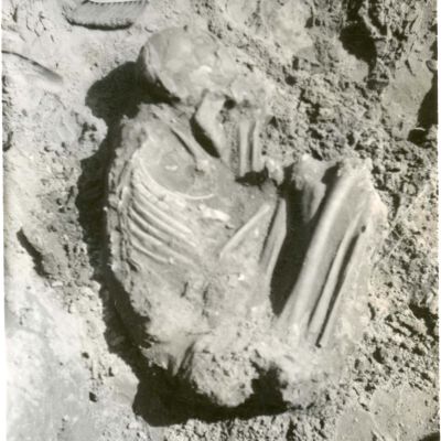 Cruger's Island, Skeleton Remains