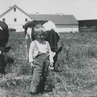 Jonathan Bulkeley with Cows