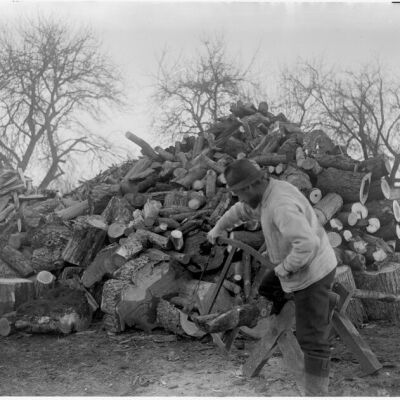 Man bucking wood