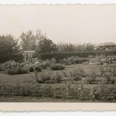 Ward Manor Garden