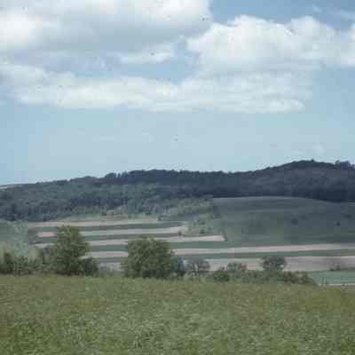 Valley Hedge Contours
