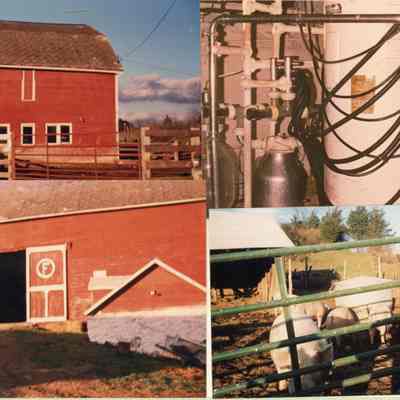 Irving Fraleigh Farm photos