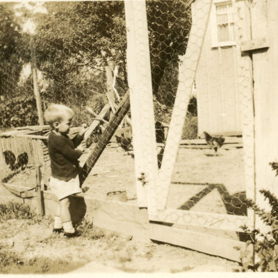 Child watching chickens