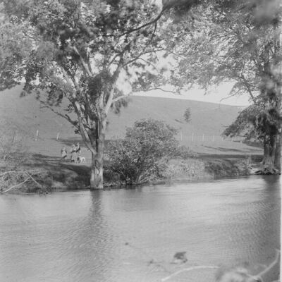 Children and dog on bank of a creek
