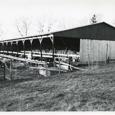 Finished Barn