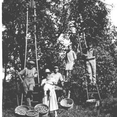Vogel Farm Apple Picking