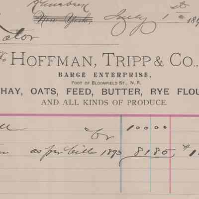 Hoffman, Trip & Co., Invoice 1895