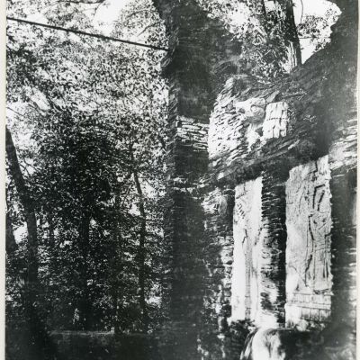 Cruger's Island Ruins- view five